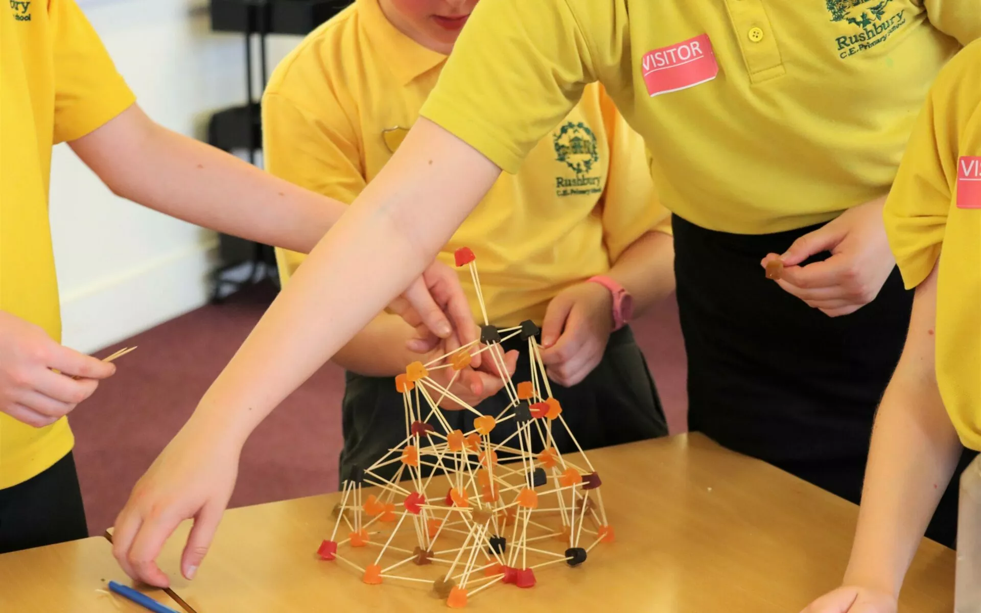 Primary School Children making models to solve a maths problem